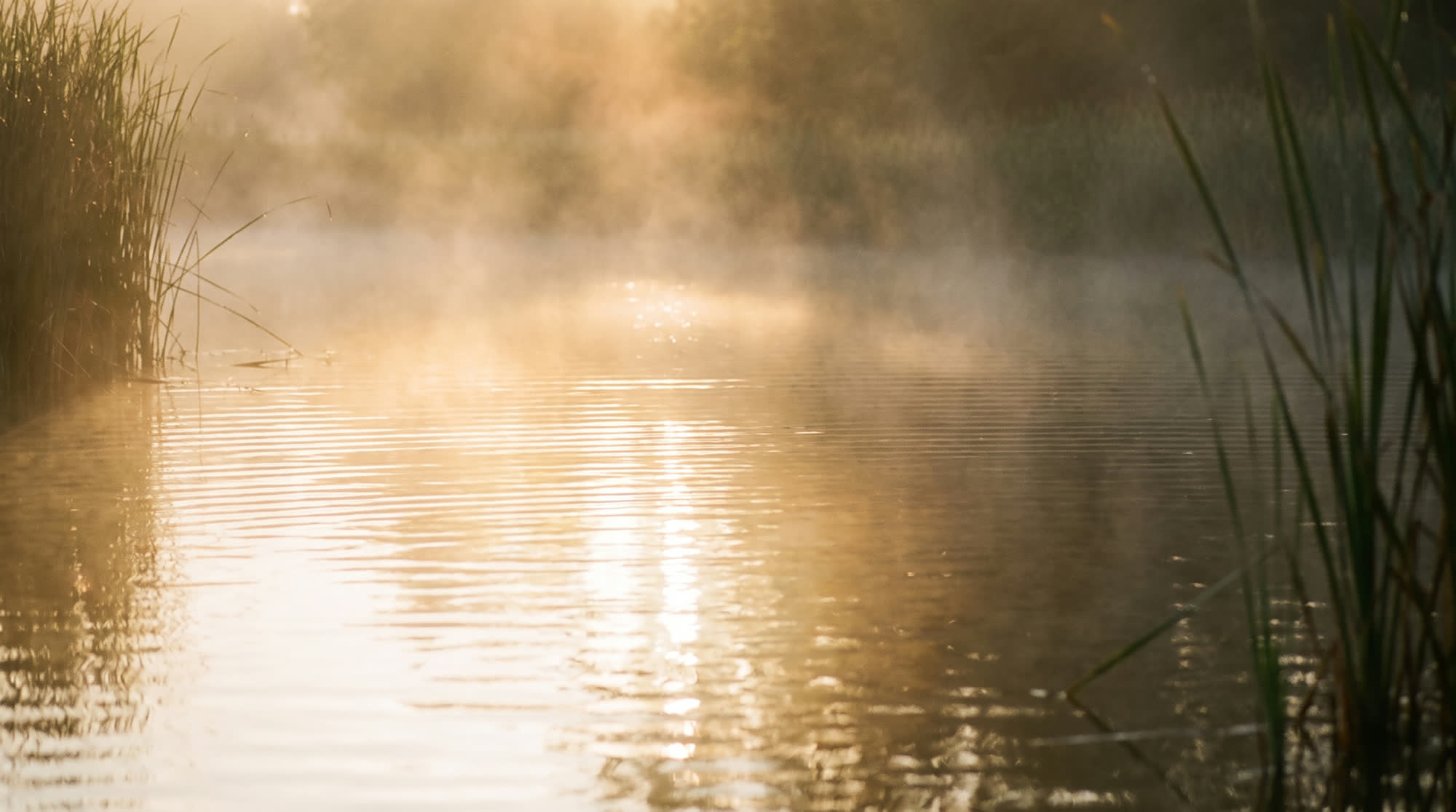 Dawn mist lifting off still water in low golden light